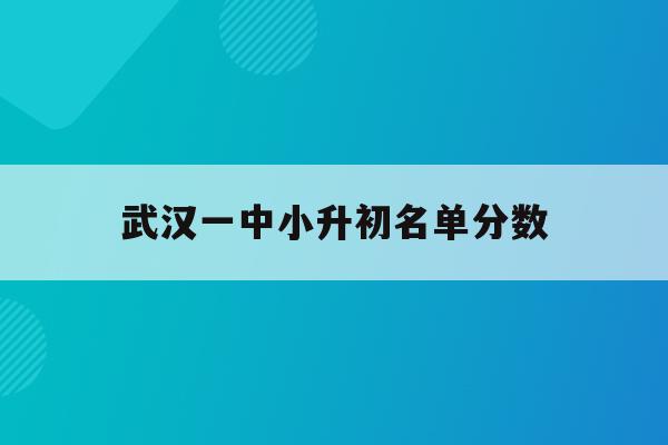  武汉一中小升初名单分数_武汉市第一中学小升初分数线
