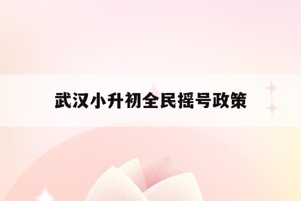  武汉小升初全民摇号政策_2021武汉小升初摇号是真的吗