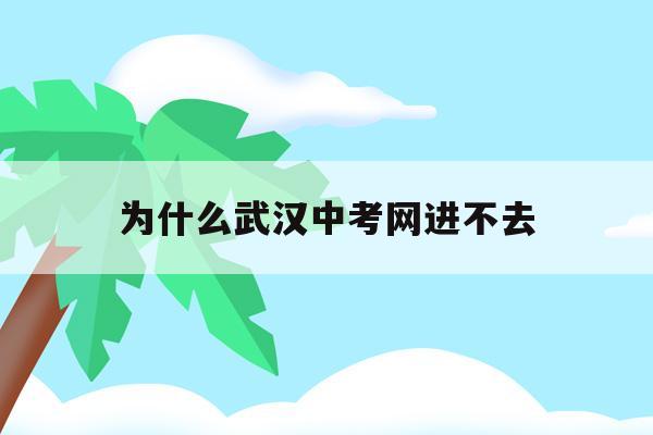  为什么武汉中考网进不去_武汉中考报名网站登录网址