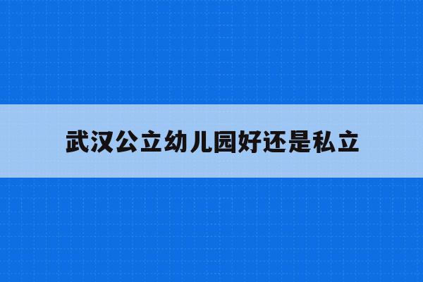  武汉公立幼儿园好还是私立_武汉公立幼儿园好还是私立园好