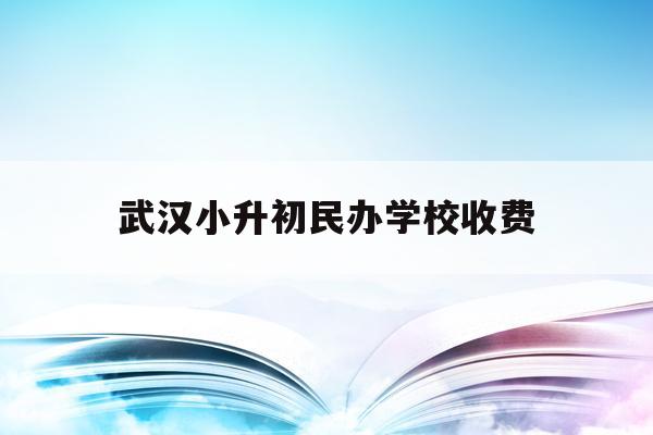  武汉小升初民办学校收费_武汉小升初民办学校收费标准表