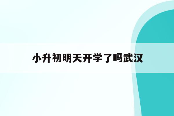  小升初明天开学了吗武汉_武汉小升初什么时候发通知书