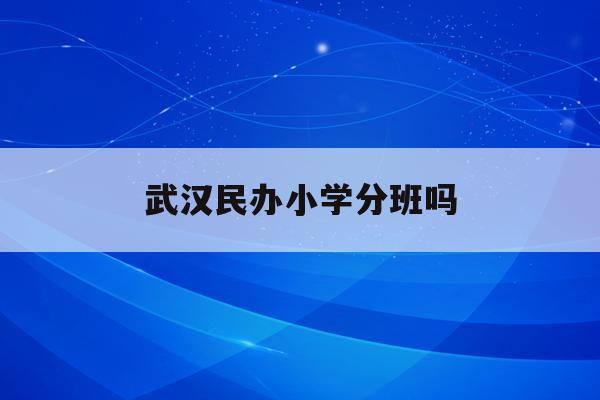  武汉民办小学分班吗_武汉民办小学招生政策