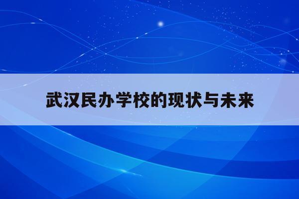  武汉民办学校的现状与未来_武汉民办学校的现状与未来发展