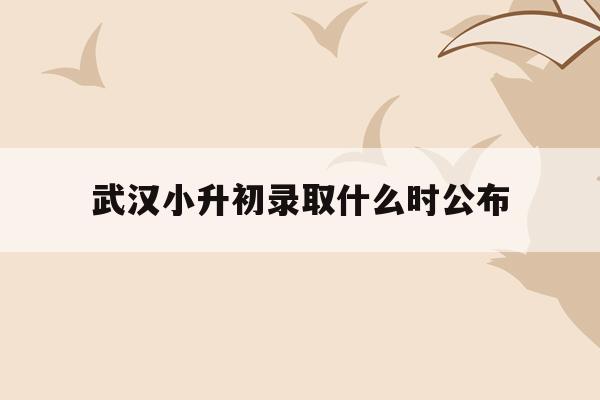  武汉小升初录取什么时公布_武汉小升初录取什么时公布名单