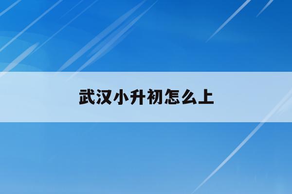  武汉小升初怎么上_武汉小升初怎么选择学校