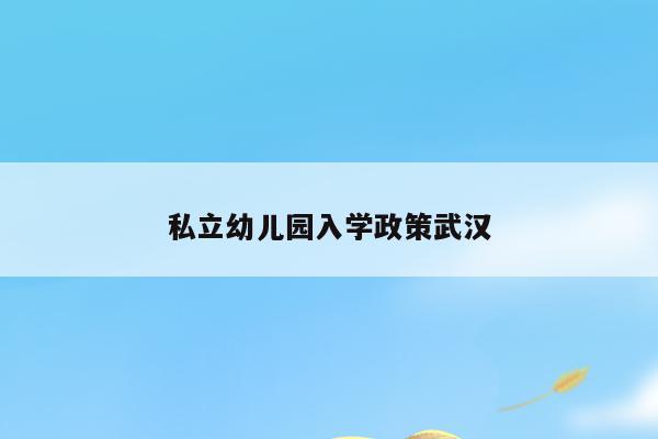 私立幼儿园入学政策武汉