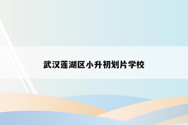 武汉莲湖区小升初划片学校(选择合适的初中教育)